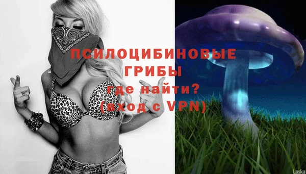 ALPHA-PVP Алексеевка
