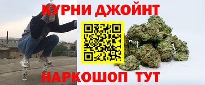 сатива Ярославль