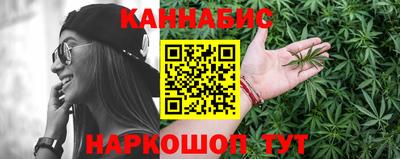 сатива Ярославль