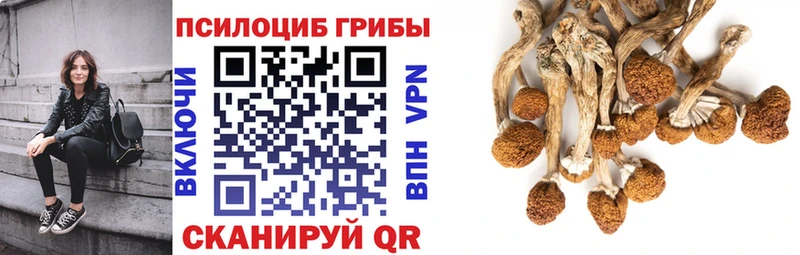 Галлюциногенные грибы мухоморы  Слободской 