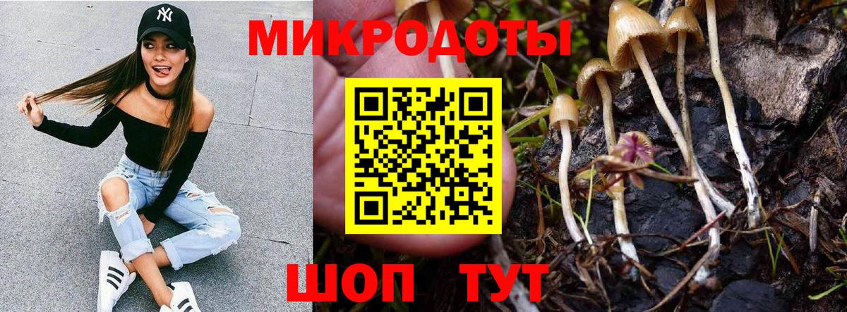 Галлюциногенные грибы Cubensis Слободской