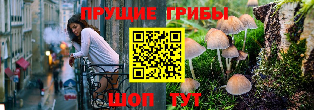 Слободской  купить  цена  Вход с VPN  Галлюциногенные грибы Psilocybe  Галлюциногенные грибы прущие грибы 